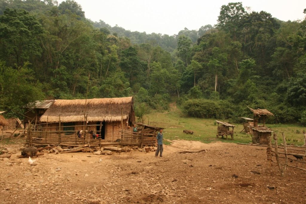 Rural development through forestry