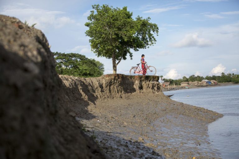 An eroded shore