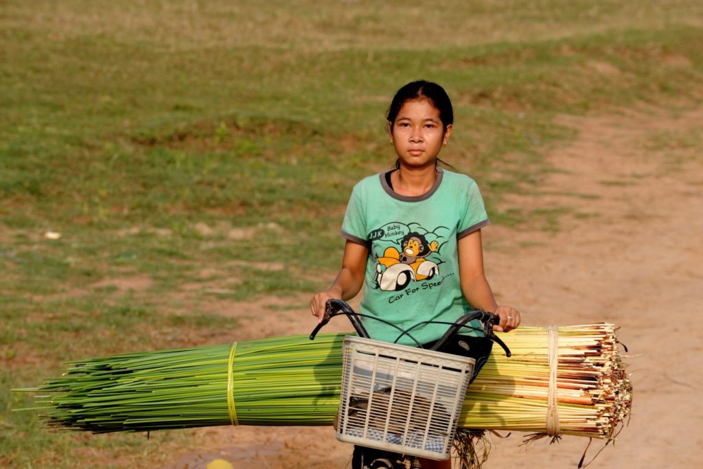 A woman transports plants on a bicycle