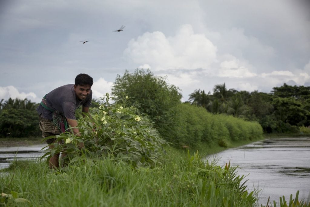 A man on a dike