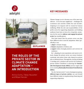 The Roles of the Private Sector in Climate Change Adaptation - an ...