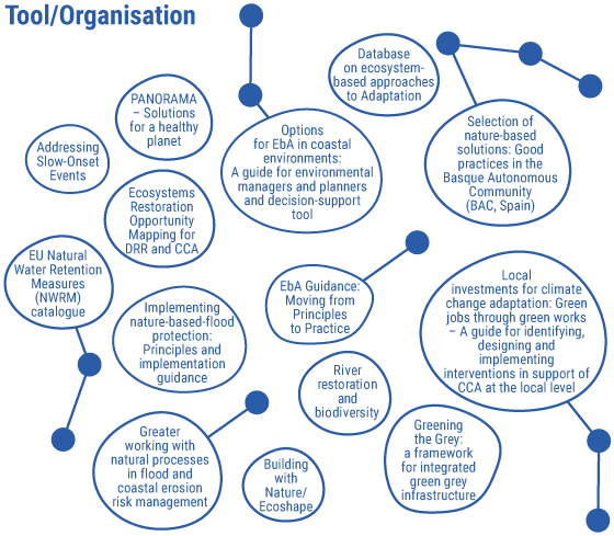 Eba2019 Tools Orginasations