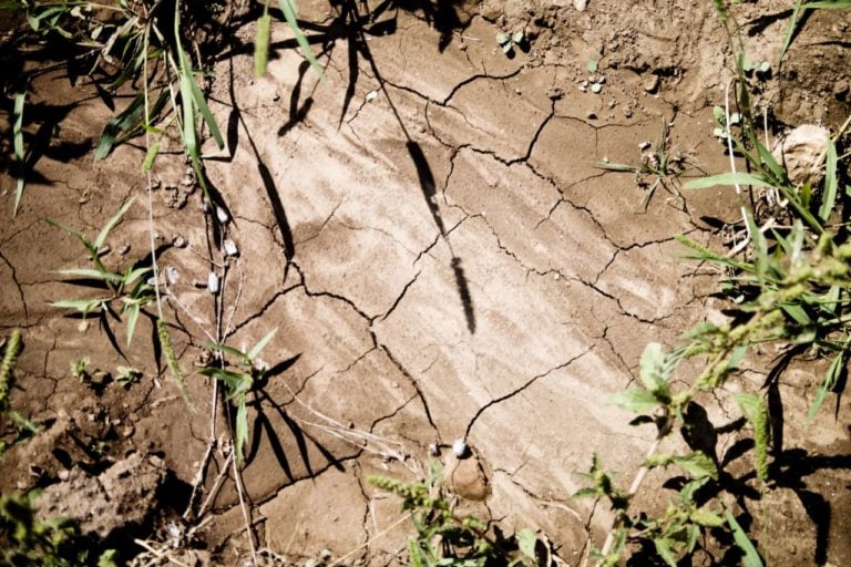 A parched field with cracked earth