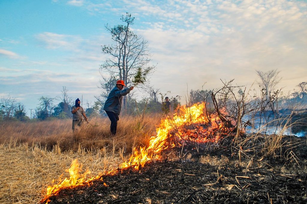 Men on a burning field