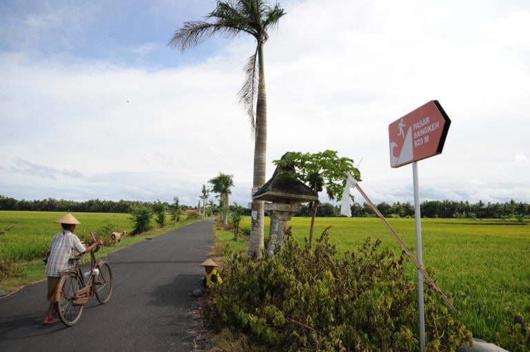 A man with a bicycle on a road between fields