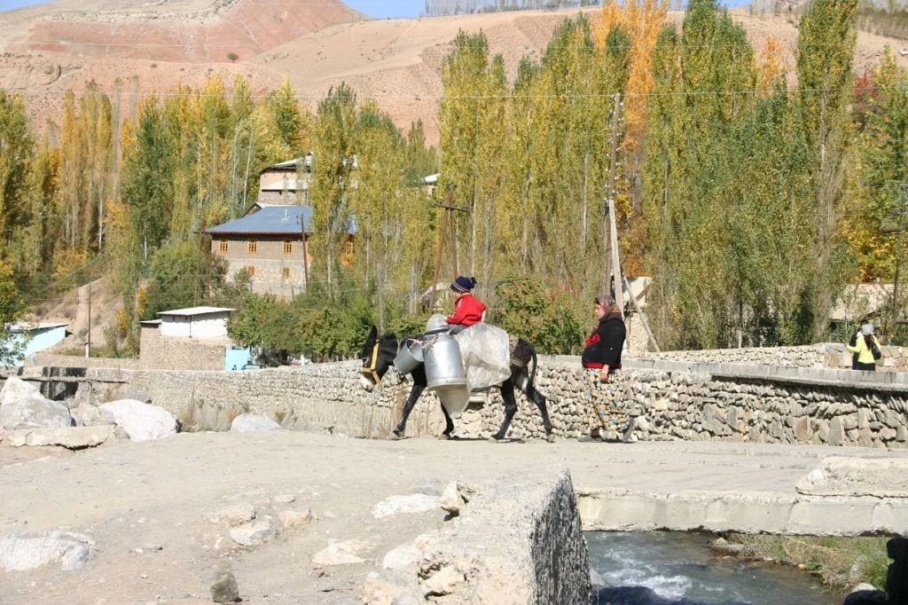 A child on a donkey and a woman