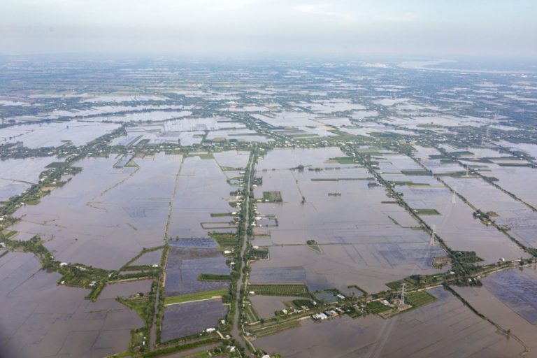 Mekong delta in vietnam