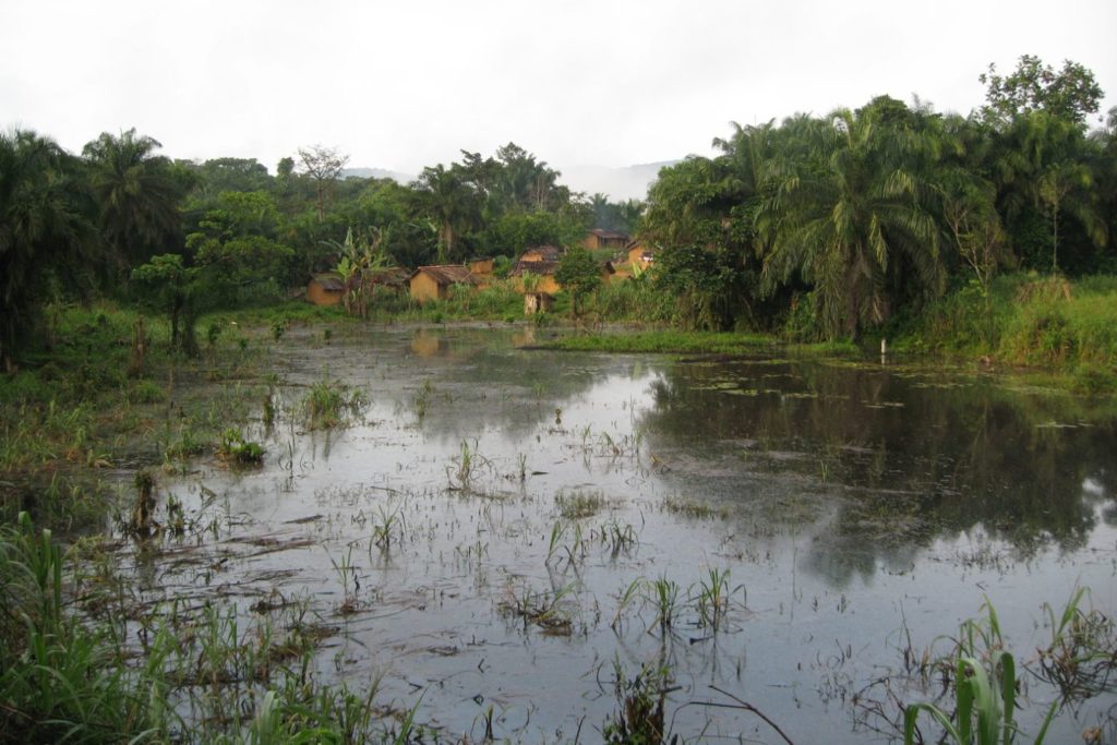 Flooded land in front of a village
