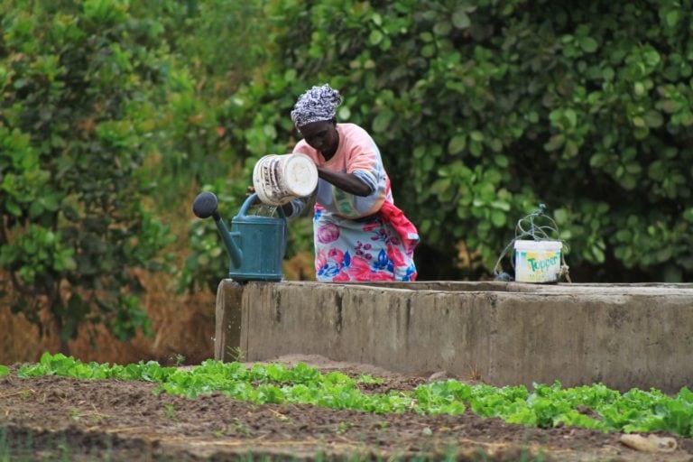 A woman fills water into a watering can