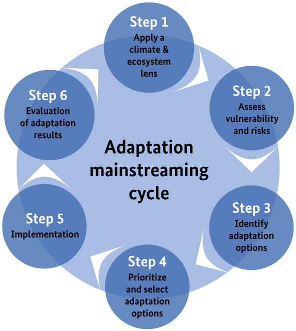 EbA Mainstreaming Cycle