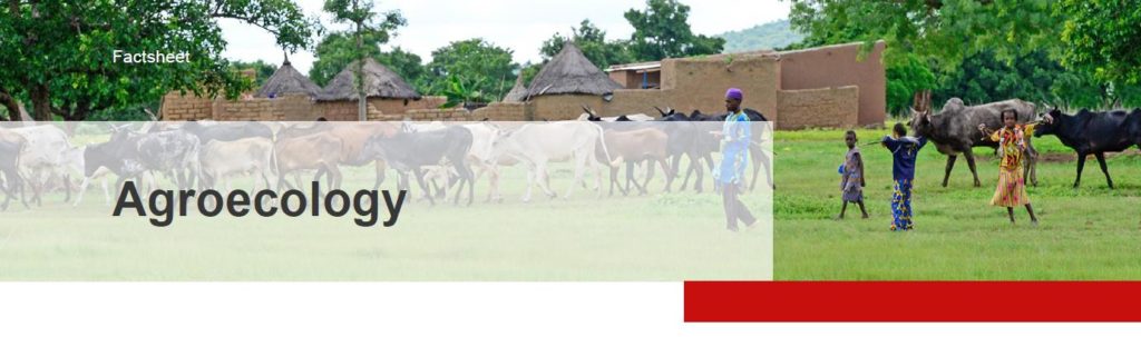 Factsheet Agroecology