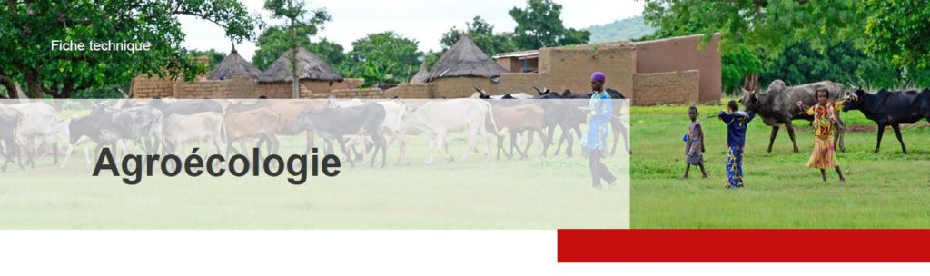 Fiché thématique Agroécologie