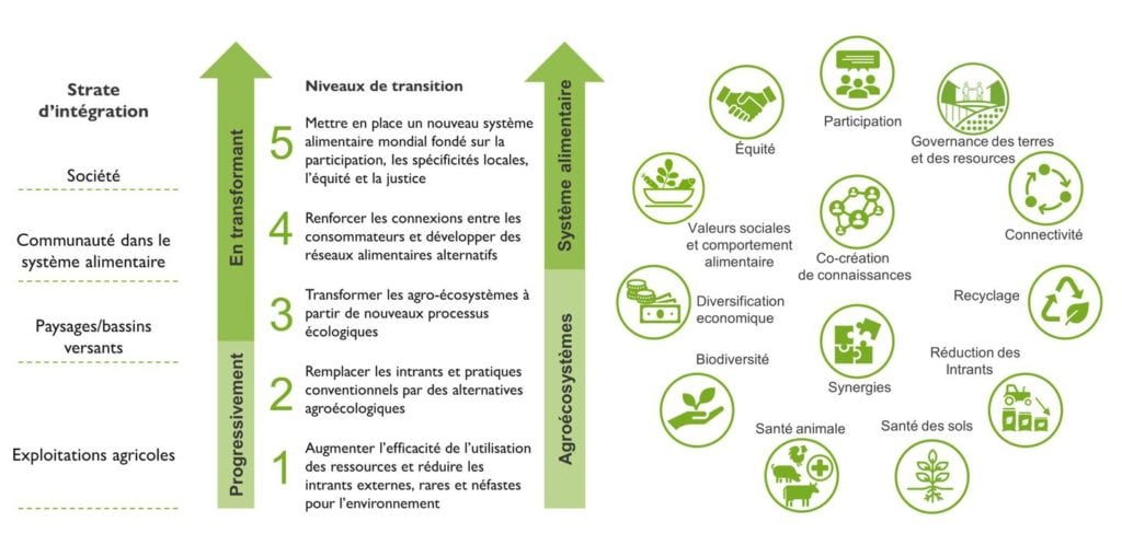 Cadre de l'agroécologie