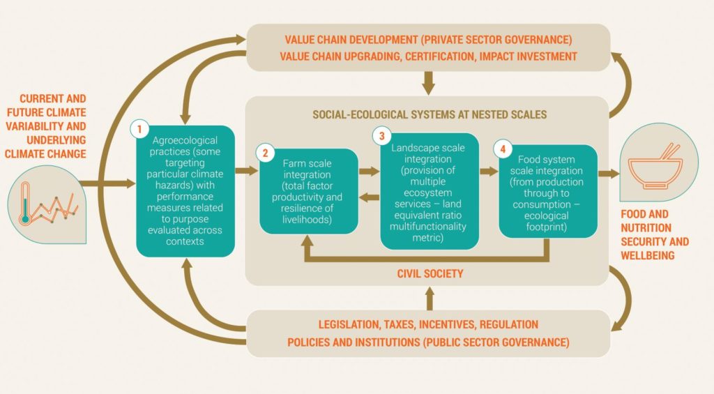 Framework Agroecological Adaptation