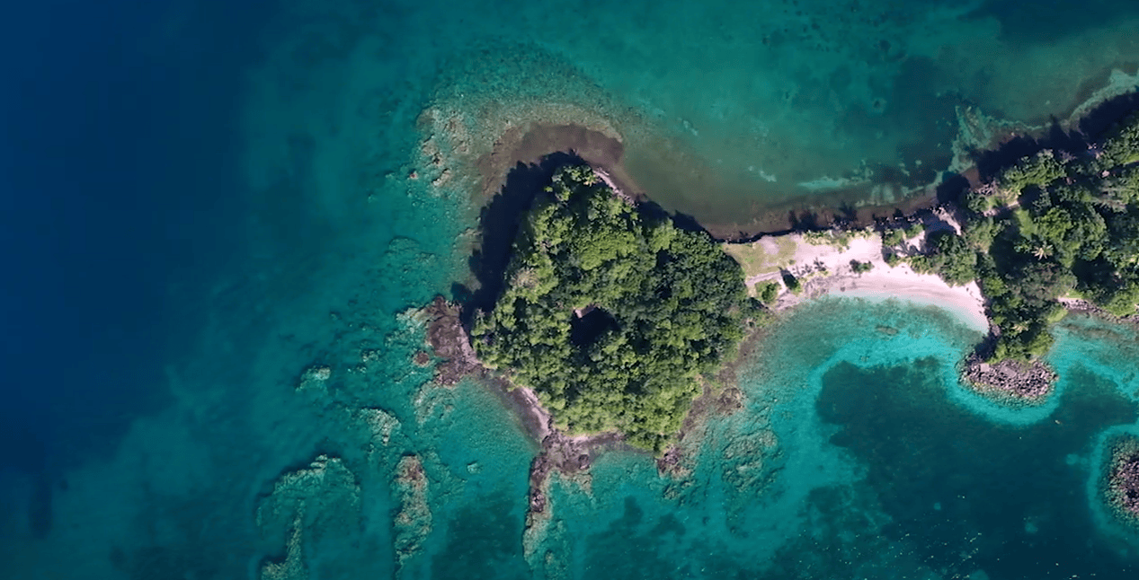 News Adaptation Community