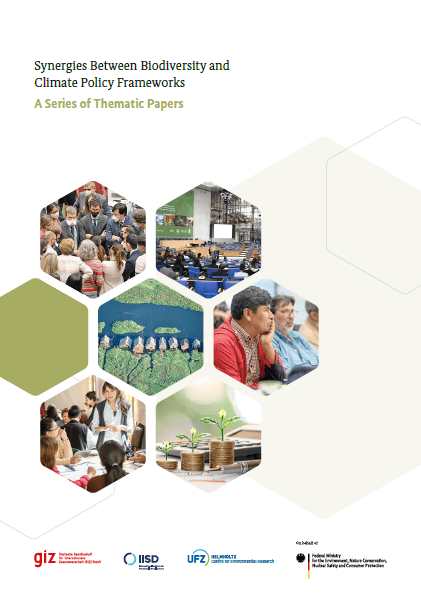 Title page of the summary publication "Synergies Between Biodiversity and Climate Policy Frameworks – A Series of Thematic Papers". Moreover, seven tiles are arranged in a flower shape. Six of them contain photos of the following situations: several people are gathered in a group, a conference room, a river in a forest, a man in profile view, a woman explaining something to a group and three piles of coins on which small plants grow.