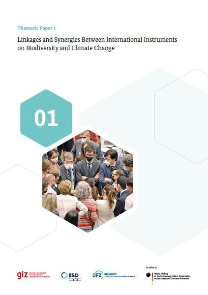 Titlepage of Thematic Paper 1 "Linkages and Synergies Between International Instruments on Biodiversity and Climate Change". In the middle of the page is a hexagonal shape depicting a group of people.