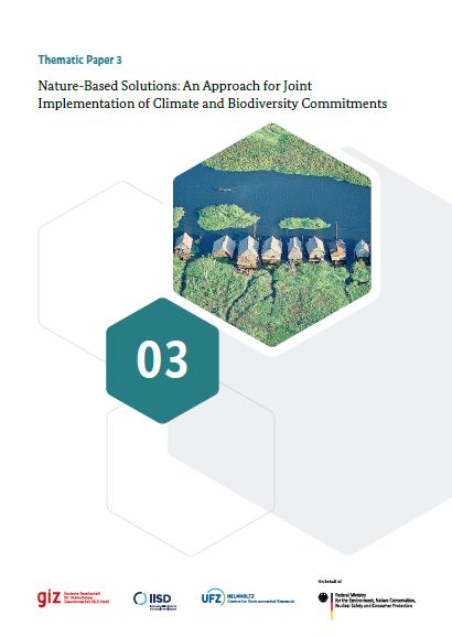 Titlepage of Thematic Paper 3 “Nature-Based Solutions: An Approach for Joint Implementation of Climate and Biodiversity Commitments". In the middle of the page is a hexagonal shape depicting a river in a forest.