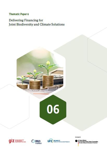 Titlepage of Thematic Paper 6 “Delivering Financing for Joint Biodiversity and Climate Solutions ". In the middle of the page is a hexagonal shape depicting three piles of coins on which small plants grow.