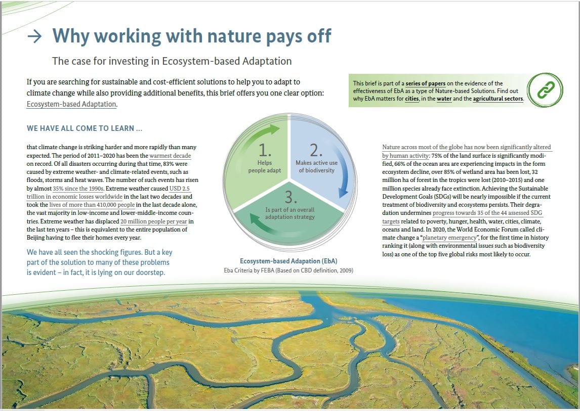 Why working with nature pays off: The case for investing in Ecosystem ...