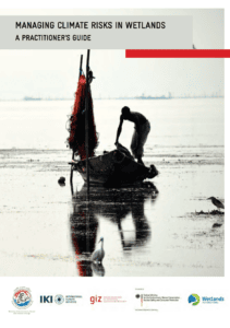 Screenshot of the title page of the publication. The title page has a picture showing a man standing on a boat on a lake.