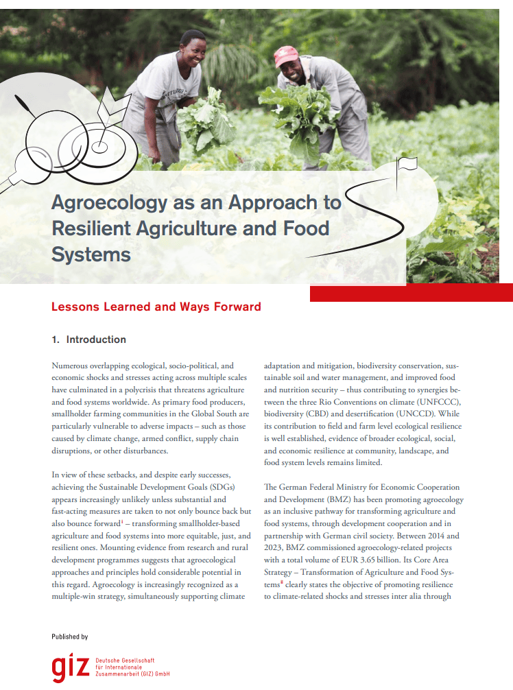The contribution of agroecological principles and approaches to resilient food systems