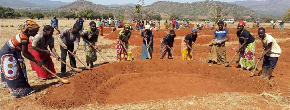 Eleven farmers are working in the field